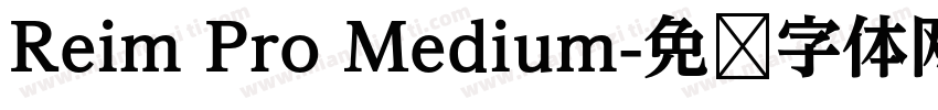 Reim Pro Medium字体转换
